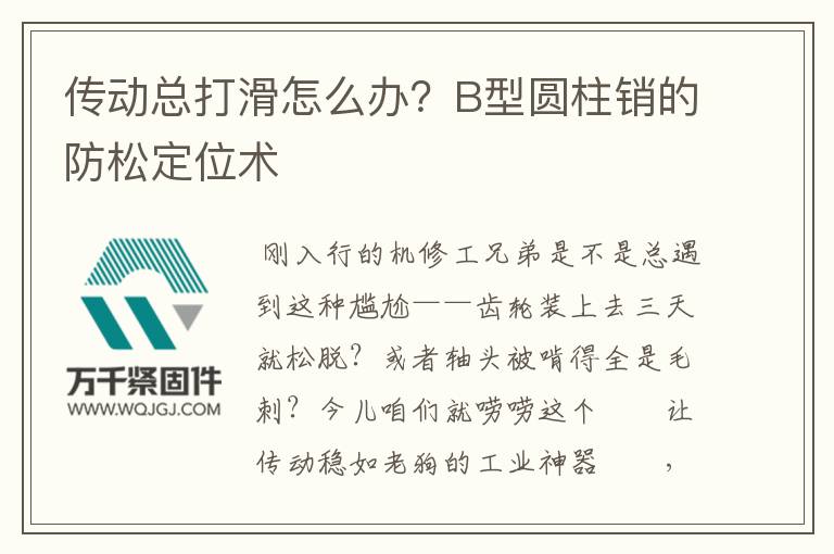 傳動總打滑怎么辦？B型圓柱銷的防松定位術(shù)