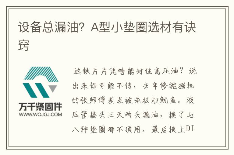 設(shè)備總漏油？A型小墊圈選材有訣竅