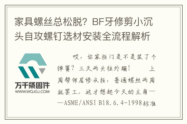 家具螺絲總松脫？BF牙修剪小沉頭自攻螺釘選材安裝全流程解析