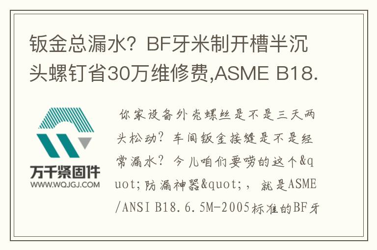 鈑金總漏水？BF牙米制開槽半沉頭螺釘省30萬維修費(fèi),ASME B18.6.5M-2005標(biāo)準(zhǔn)解析,自攻螺釘選購指南