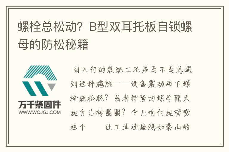 螺栓總松動(dòng)？B型雙耳托板自鎖螺母的防松秘籍