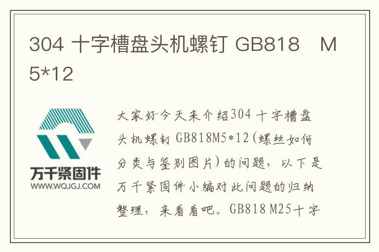 304 十字槽盤頭機(jī)螺釘 GB818	M5*12